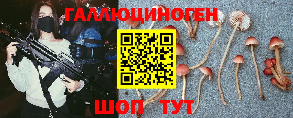 Галлюциногенные грибы мухоморы  Вход с VPN  Кимовск 